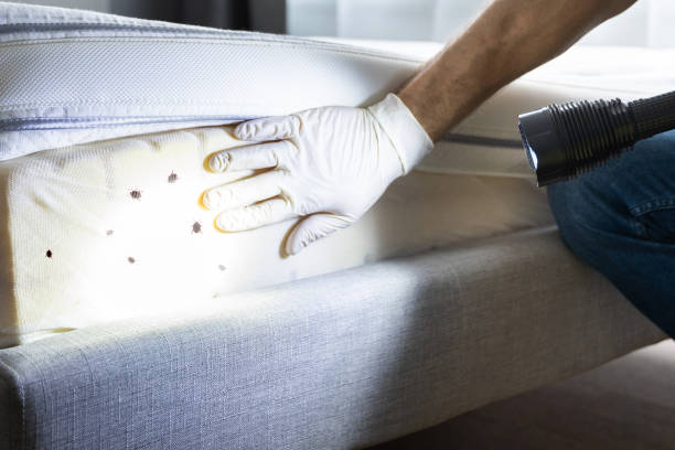 Best Commercial Pest Control Services  in Murillo, TX