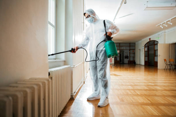 Best Affordable Pest Control Services  in Murillo, TX