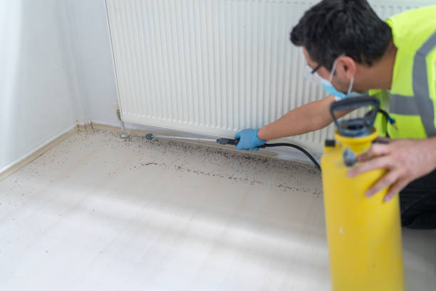Best Commercial Pest Control Services  in Murillo, TX