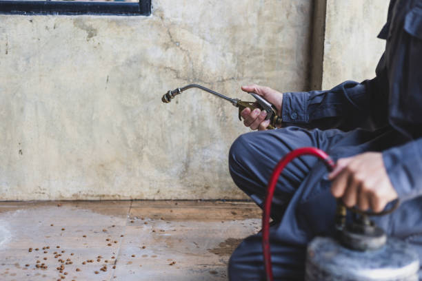 Best Cockroach Control Services  in Murillo, TX